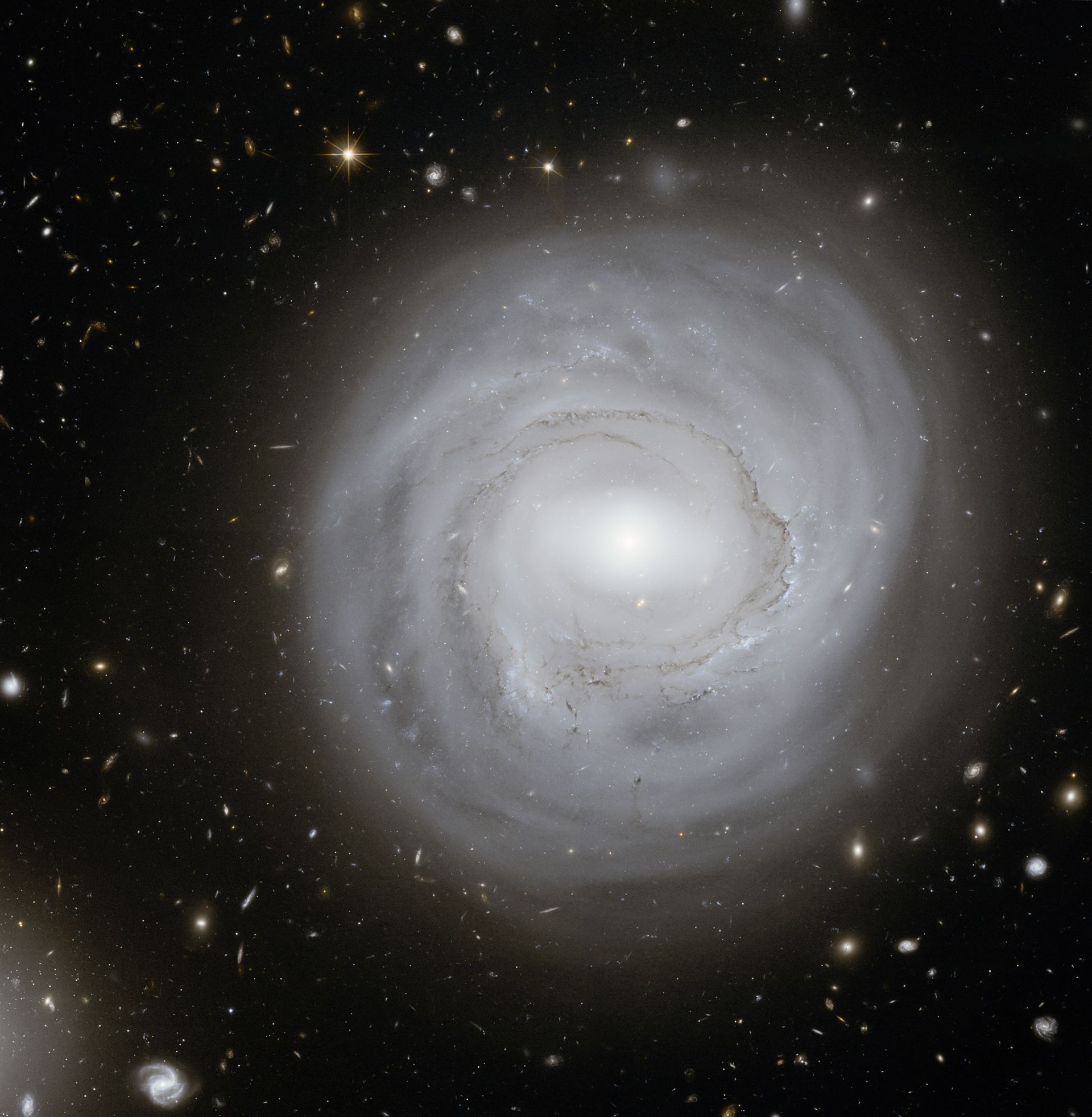 Unusual spiral NGC 4921 in the Coma Galaxy Cluster