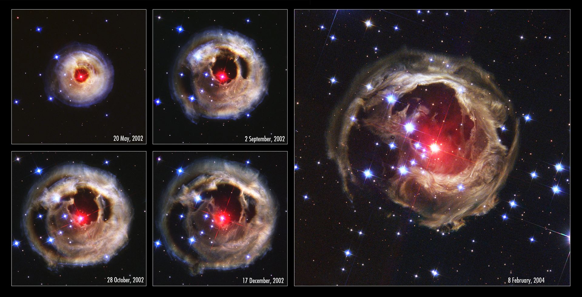 V838 Monocerotis revisited Space phenomenon imitates art [chronological overview]