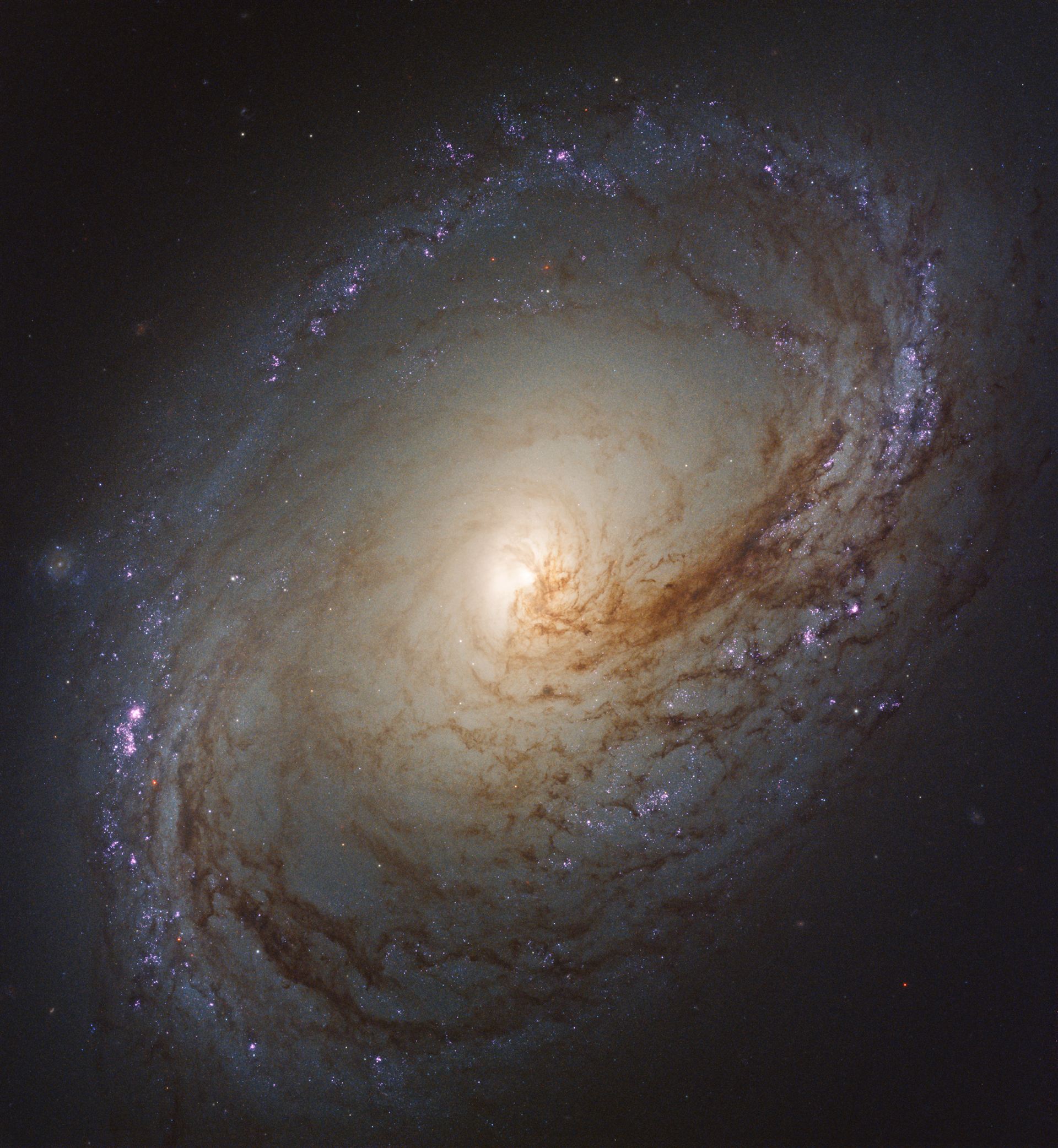Wave of star formation in Messier 96