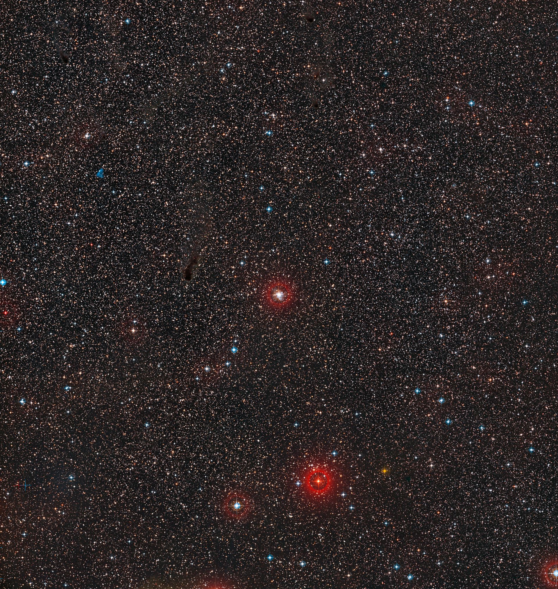 Wide-field image of RS Puppis (ground-based image)