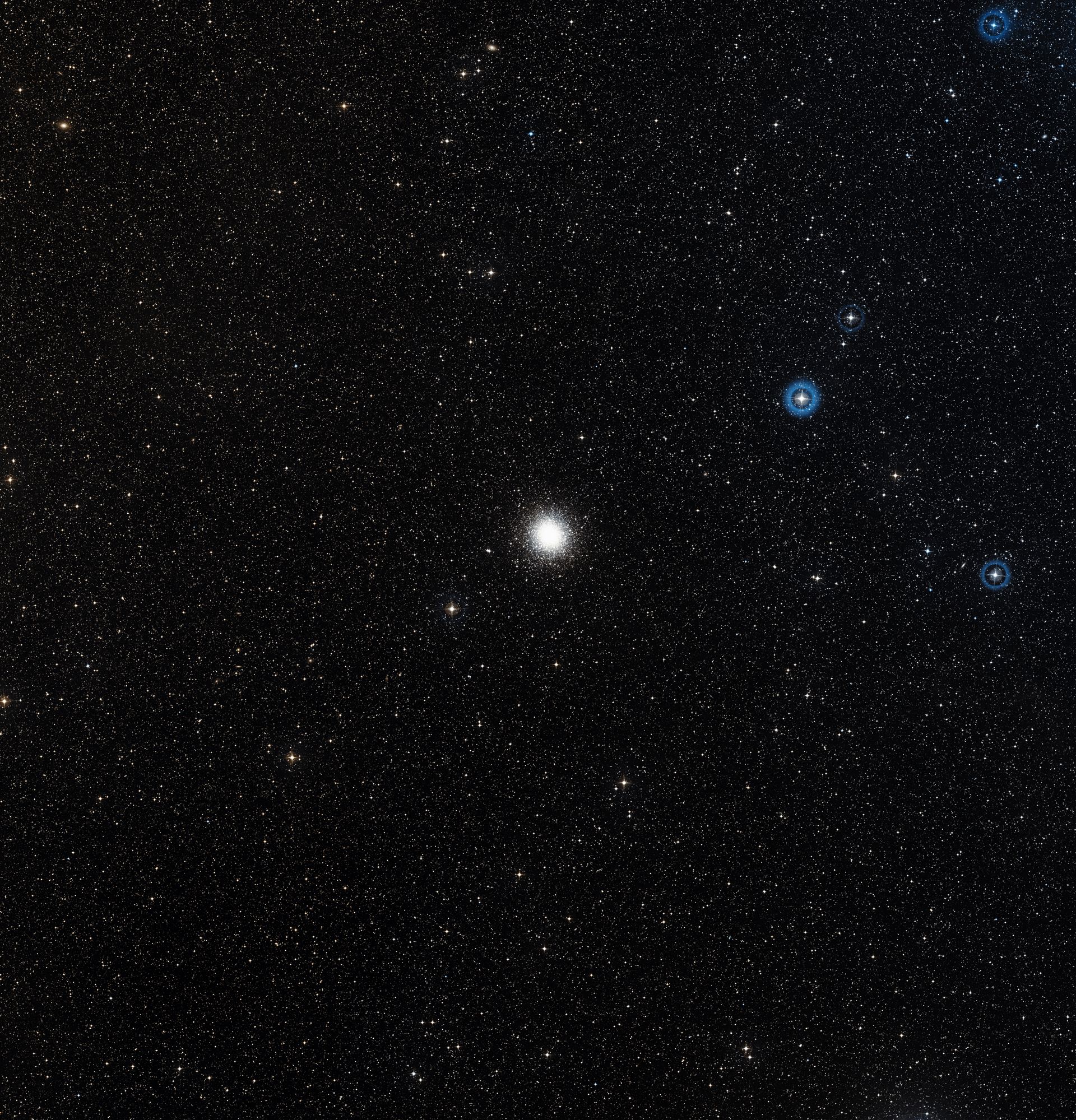 Wide-field image of the NGC 2808 region (ground-based image)