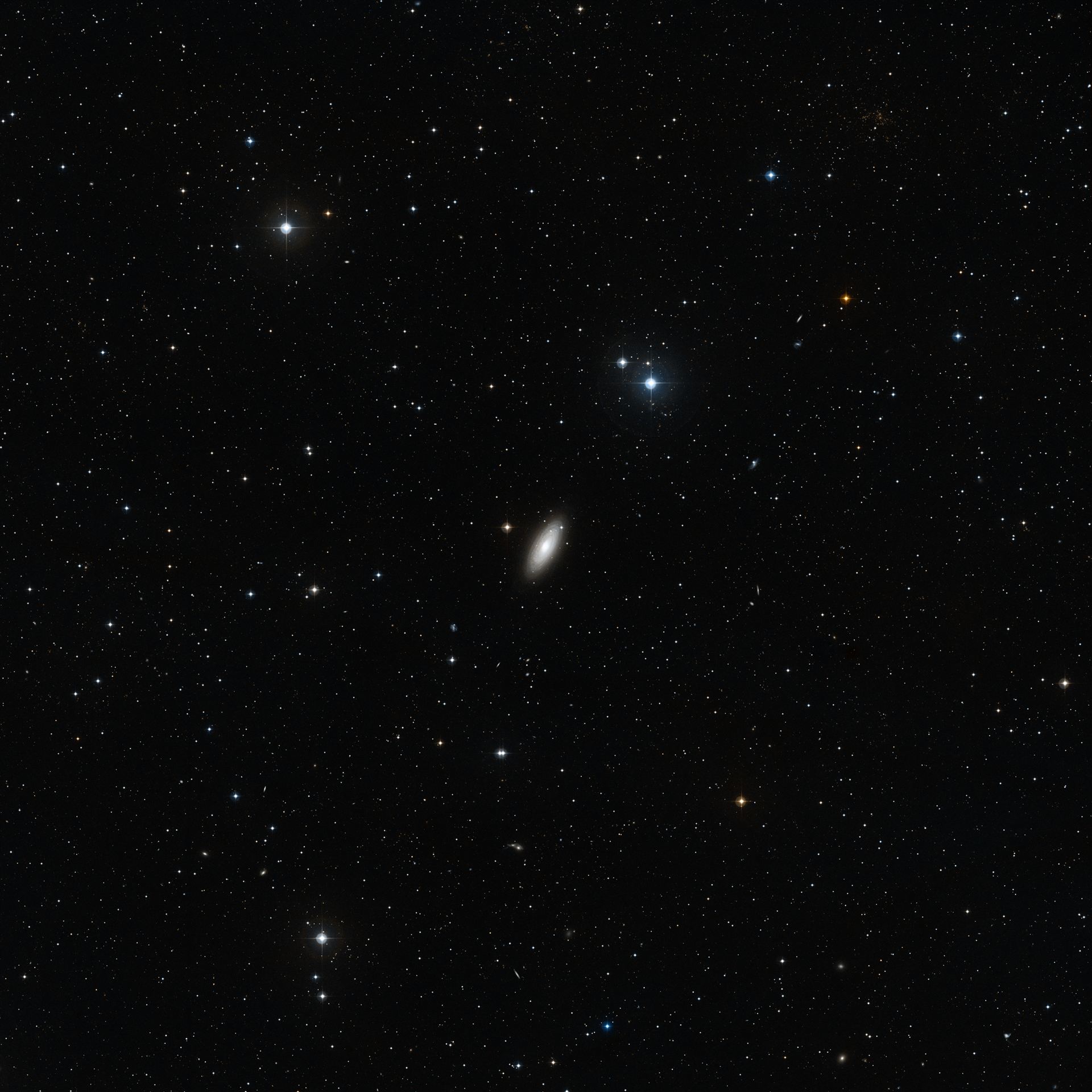 Wide-field view of NGC 2841 (ground-based image)