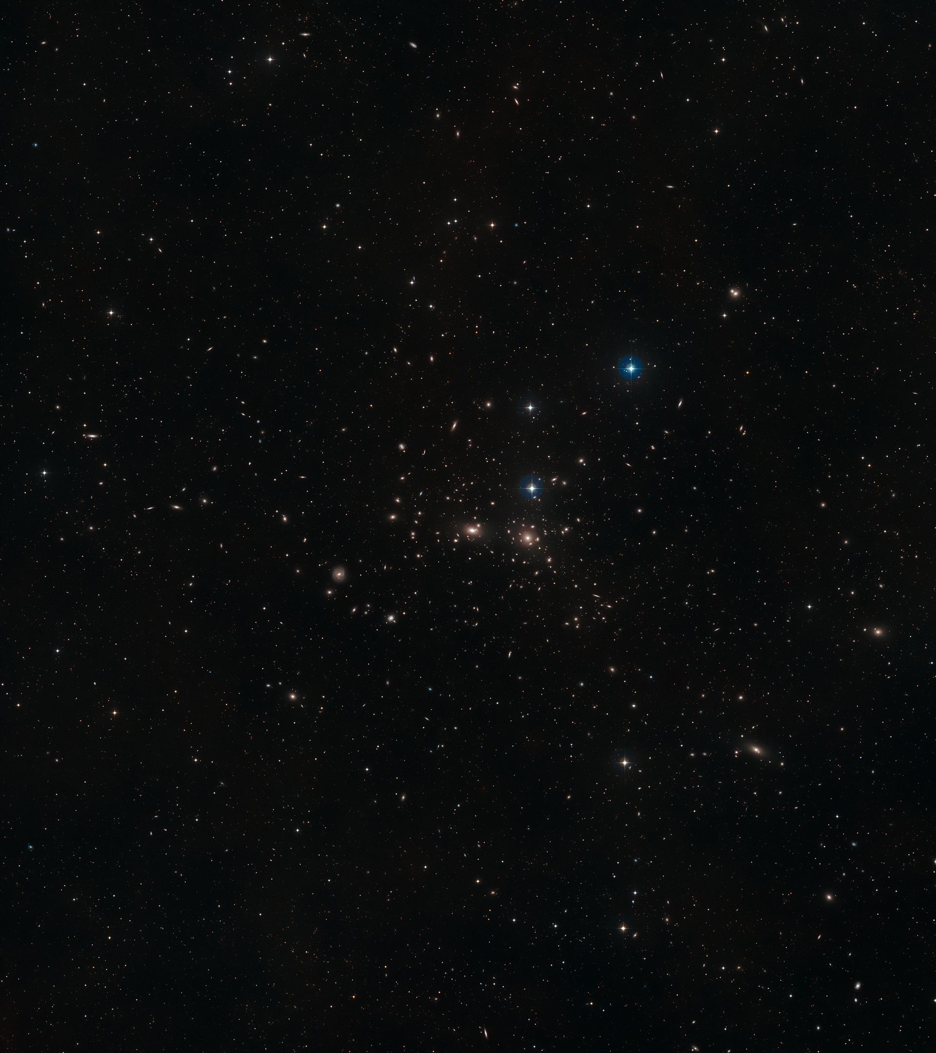 Wide-field view of NGC 4889 (ground-based view)