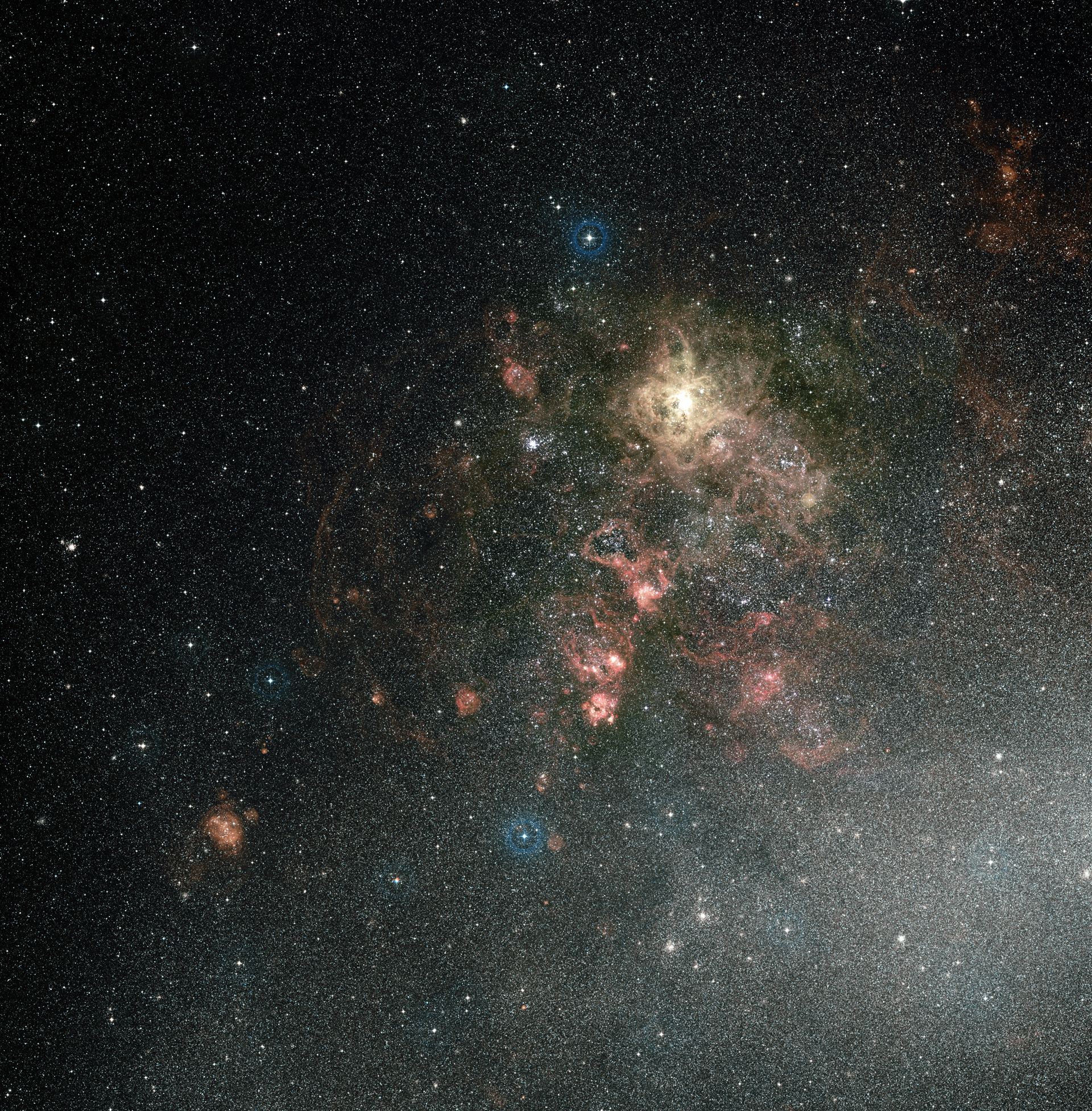 Wide-field view of the Tarantula Nebula and its surroundings (ground-based image)