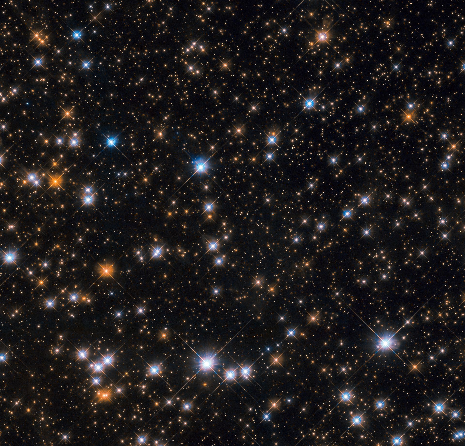 Wild cosmic ducks