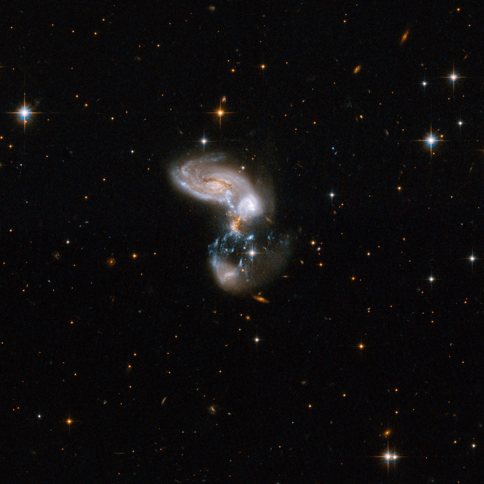ZW II 96
